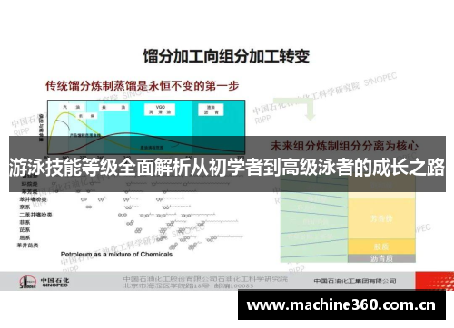 游泳技能等级全面解析从初学者到高级泳者的成长之路